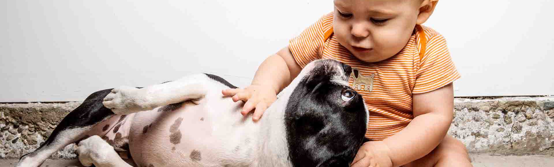 Bebê fazendo carinho em cachorro