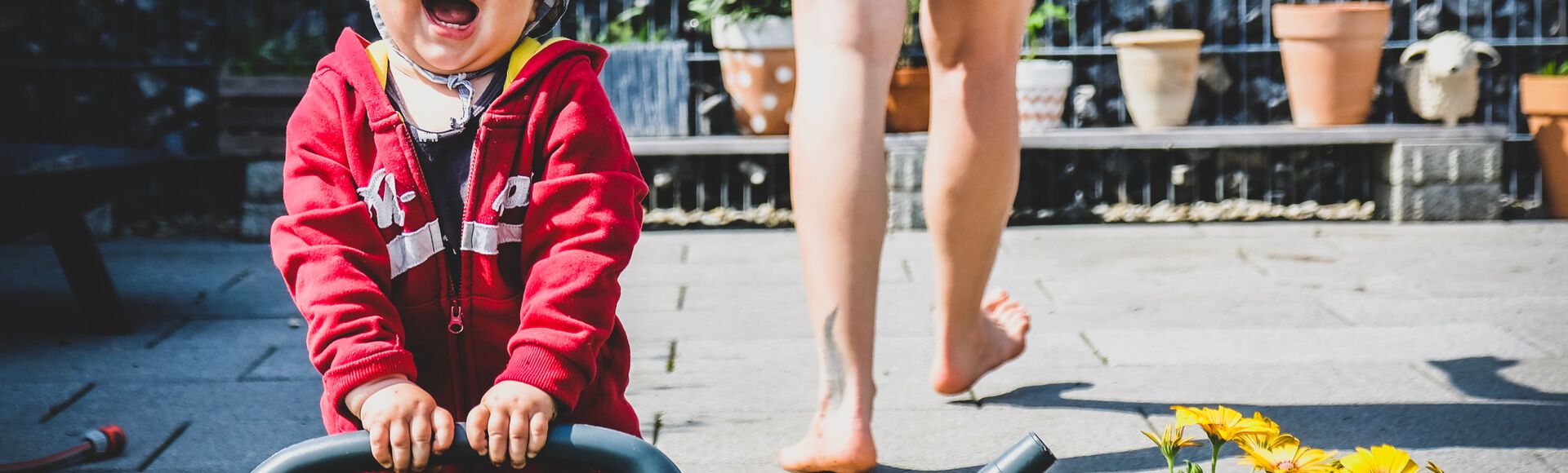 Passo a passo: como plantar feijão no algodão