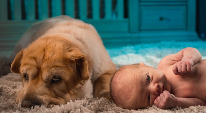 Criança com papai e mamãe interagindo com o gatinho da família