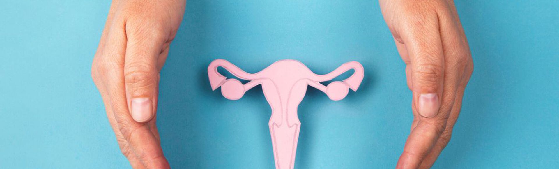 Imagem de utero de papel cor-de-rosa cercado por mãos sobre fundo azul