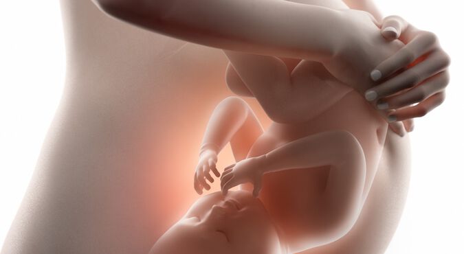 Ilustração de feto dentro da barriga da mãe