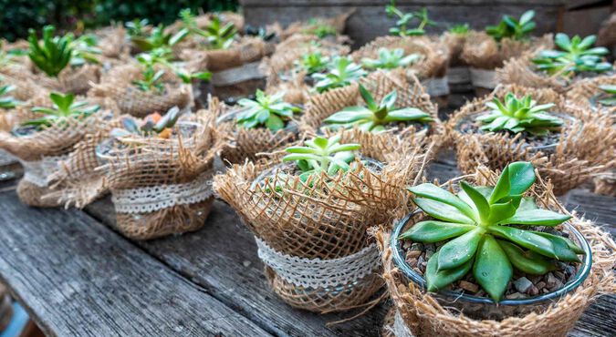 Lembrança para chá de bebê: 5 ideias fáceis