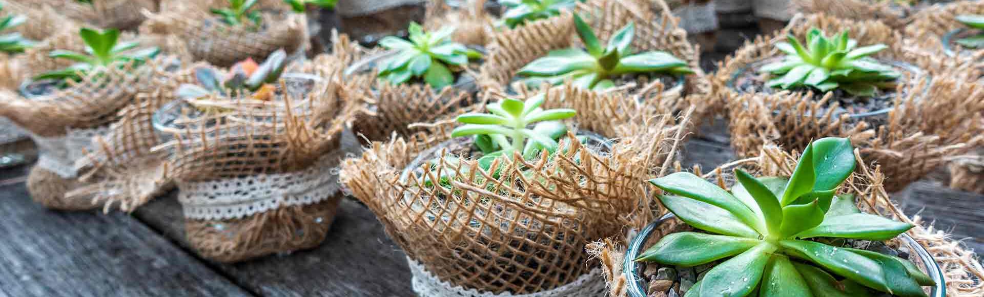 Lembrança para chá de bebê: 5 ideias fáceis