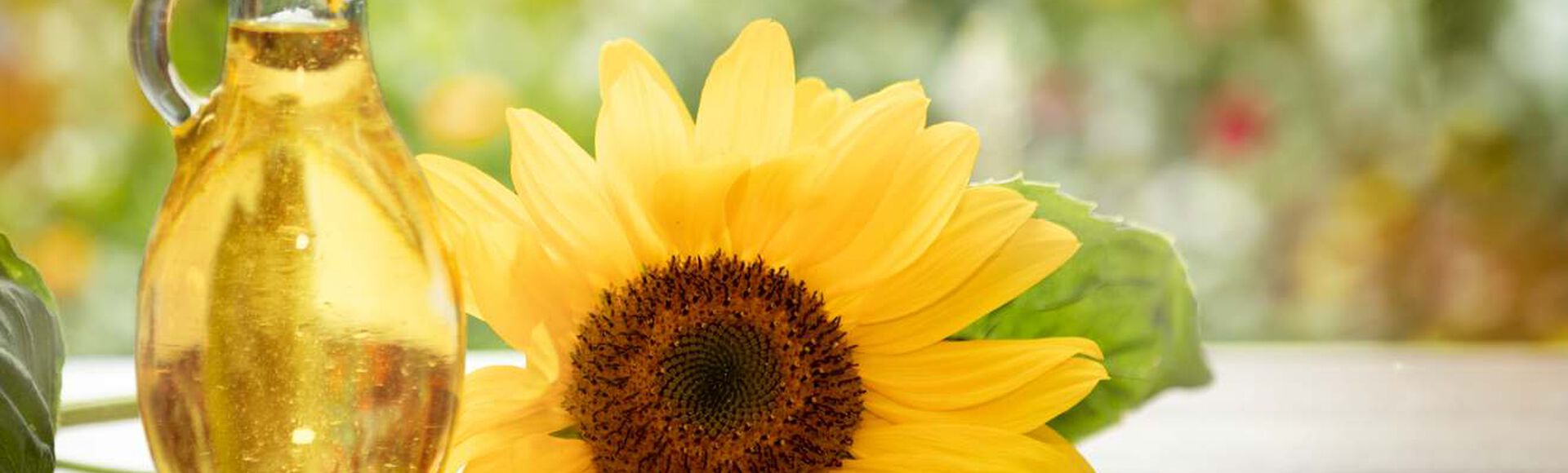 Frasco de óleo de girassol ao lado de uma flor de girassol
