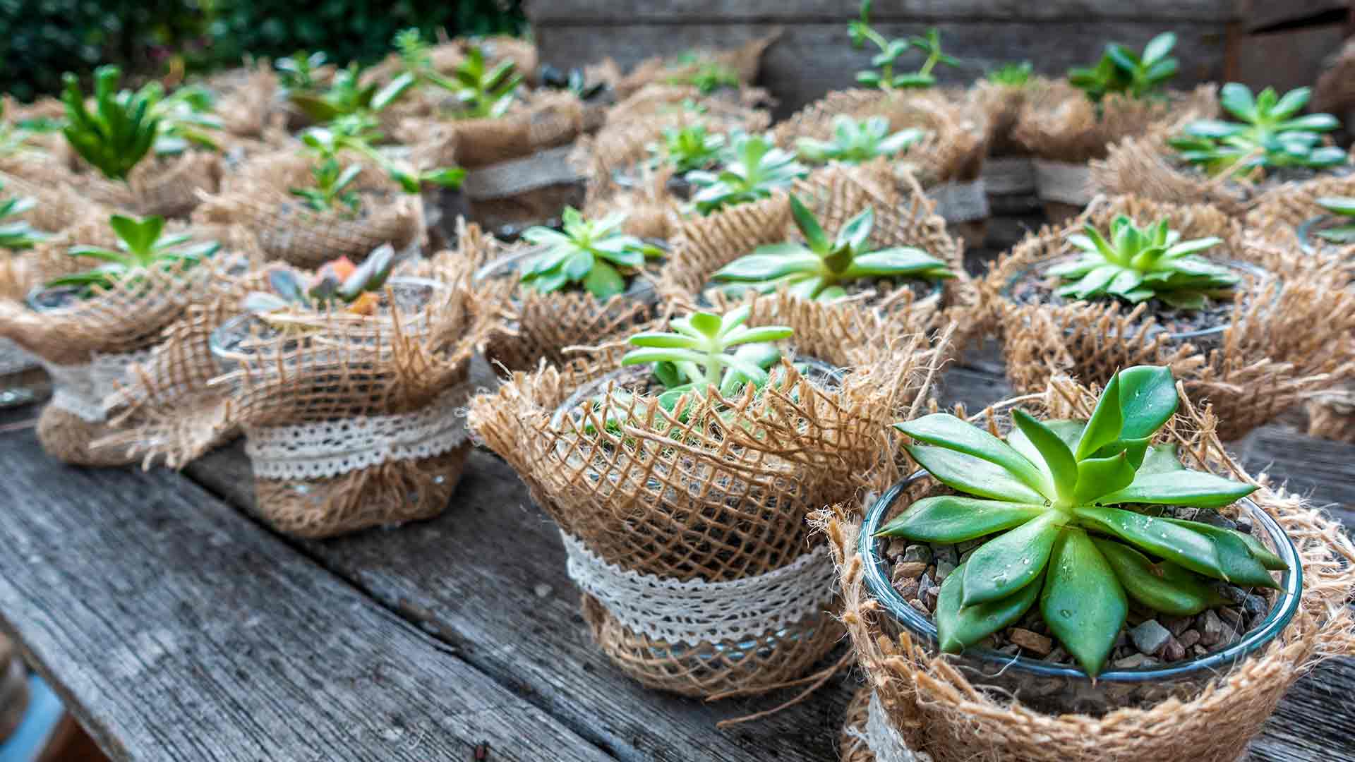 Lembrança para chá de bebê: 5 ideias fáceis